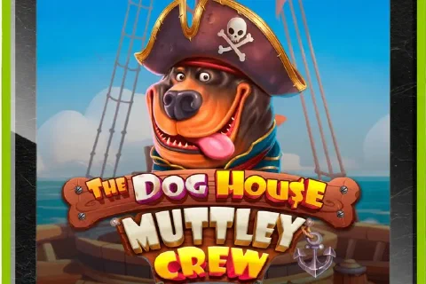 The Dog House Muttley Crew artwork with a pirate dog aboard a ship